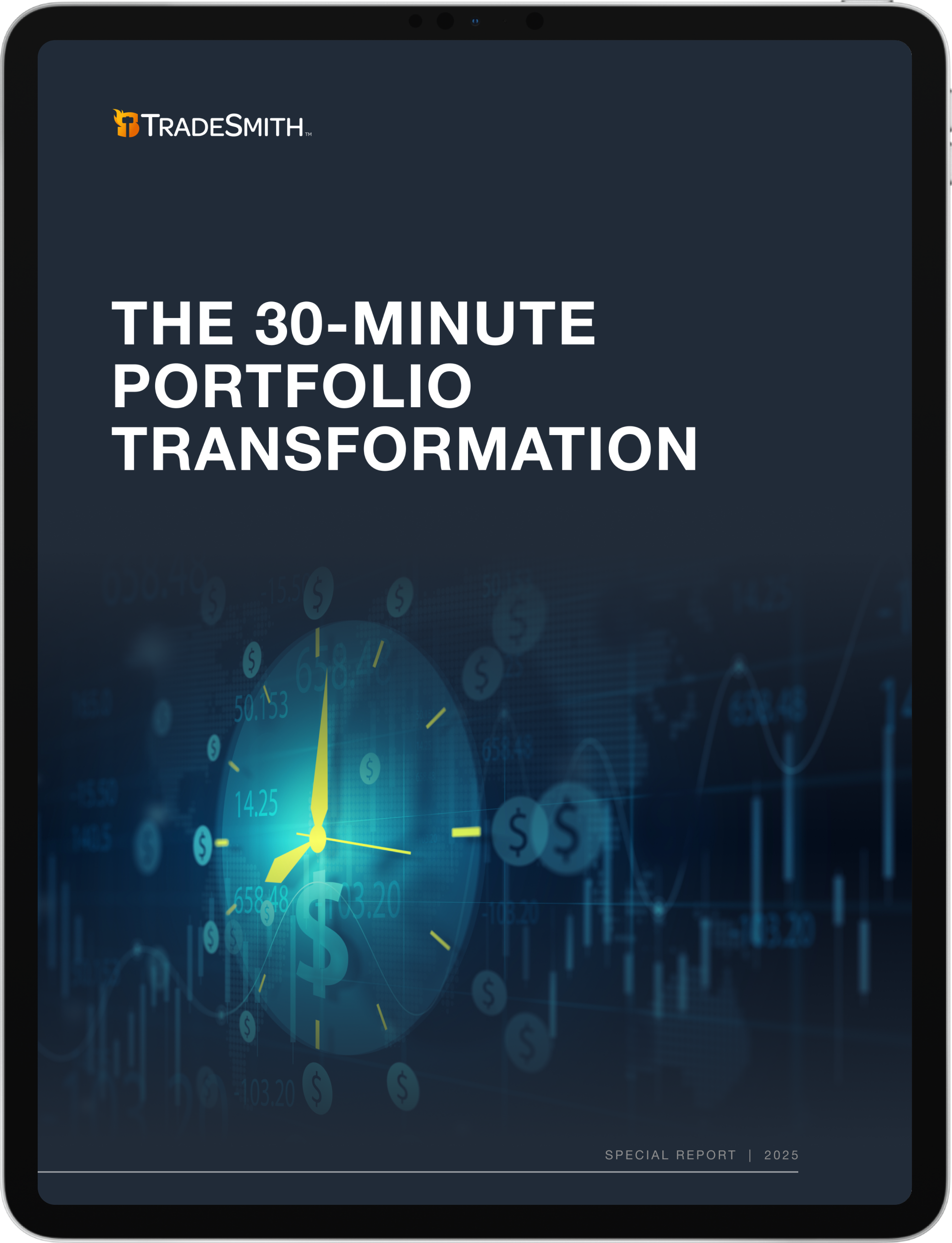 The 30-Minute Portfolio Transformation